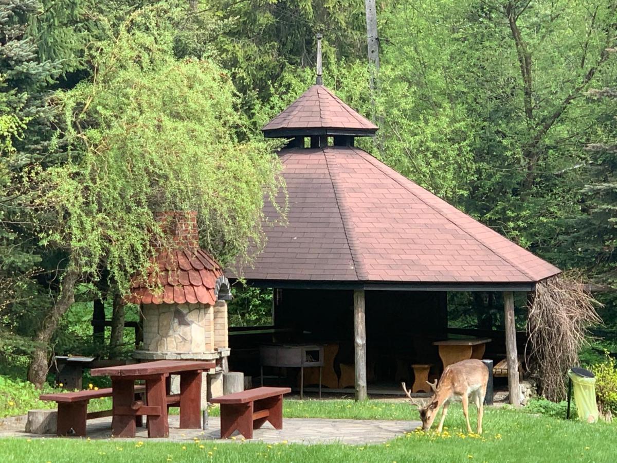Gosciniec Pod Smrekami Bed & Breakfast Czorsztyn Luaran gambar